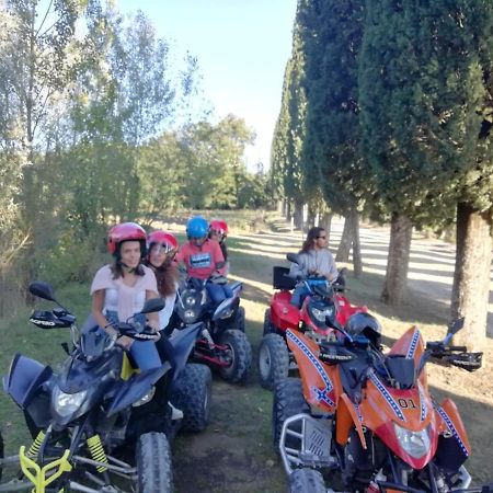Appartamento Crete Senesi Castelnuovo Berardenga Εξωτερικό φωτογραφία