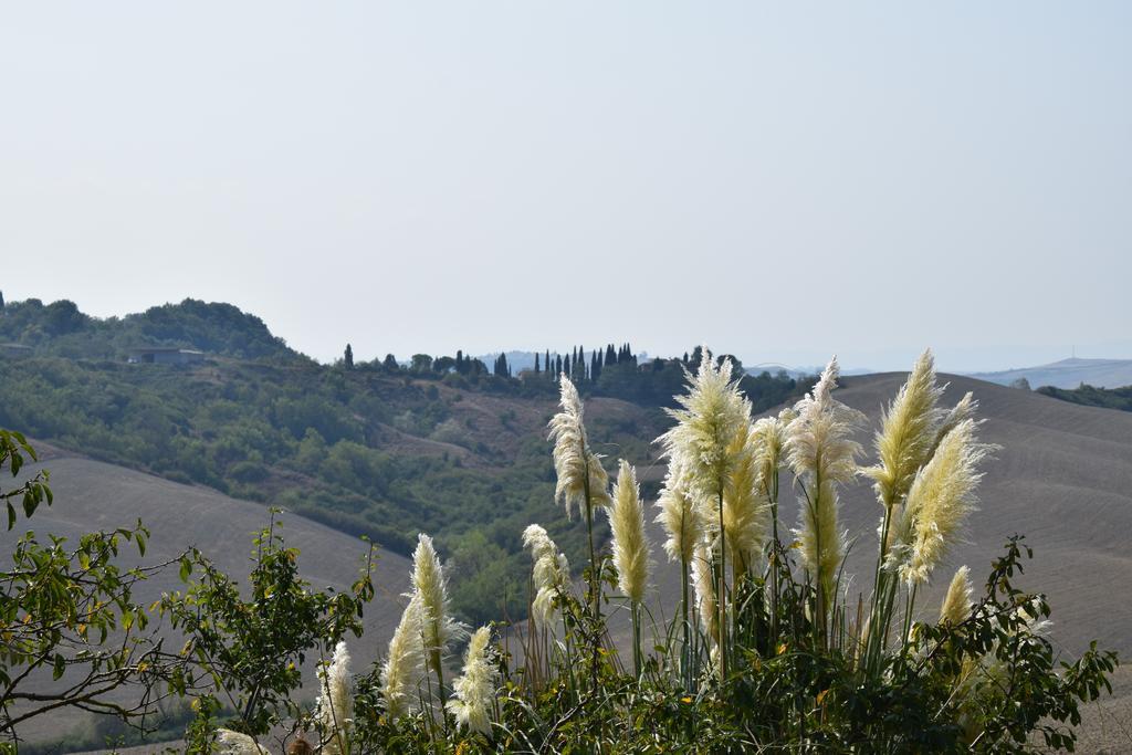Appartamento Crete Senesi Castelnuovo Berardenga Εξωτερικό φωτογραφία
