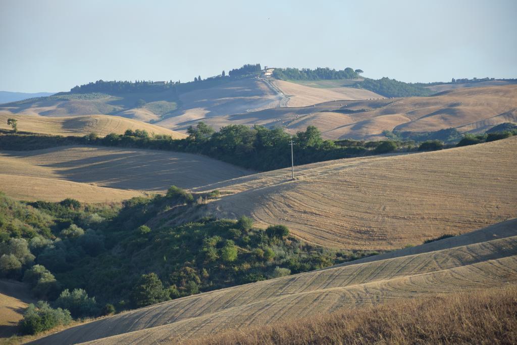 Appartamento Crete Senesi Castelnuovo Berardenga Εξωτερικό φωτογραφία