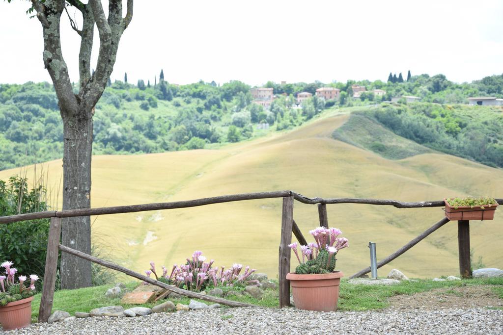 Appartamento Crete Senesi Castelnuovo Berardenga Εξωτερικό φωτογραφία