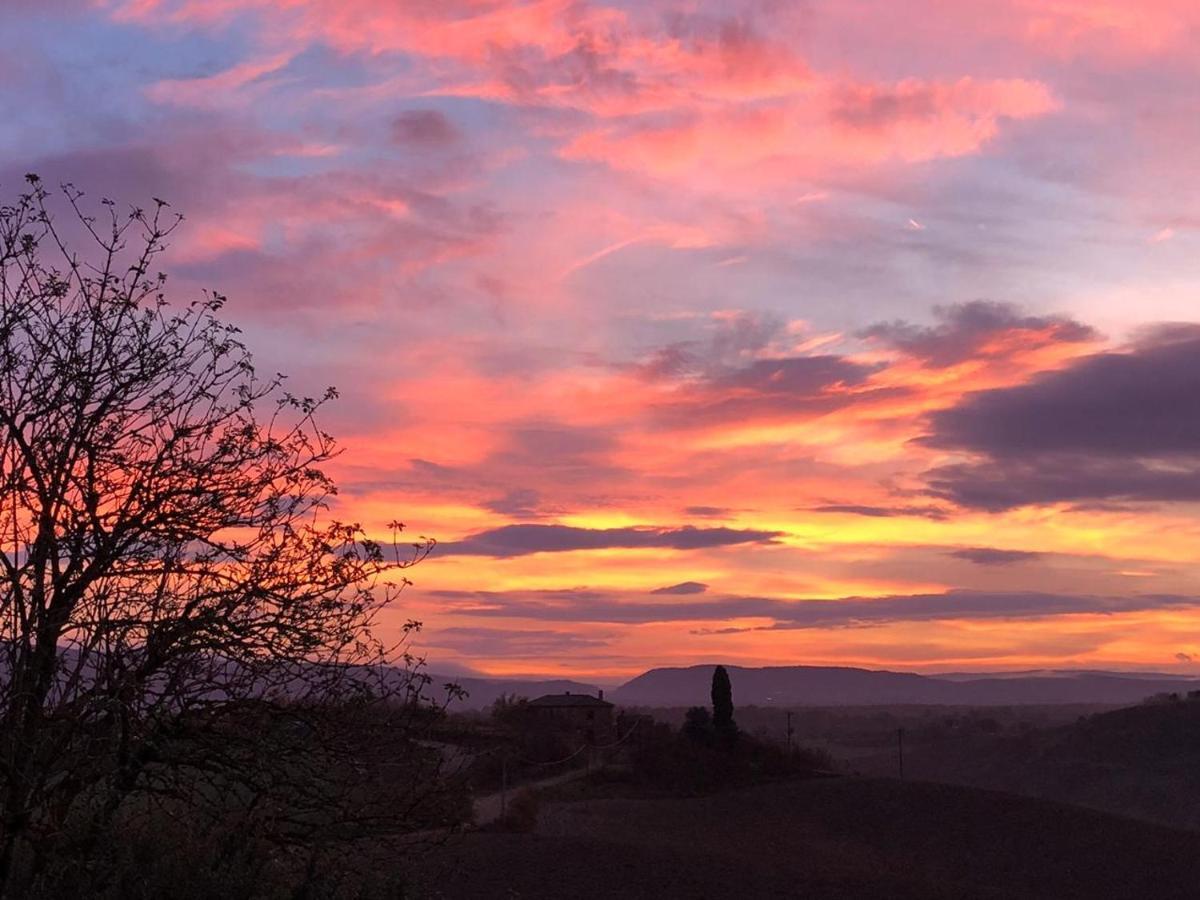 Appartamento Crete Senesi Castelnuovo Berardenga Εξωτερικό φωτογραφία